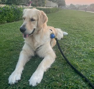 On-chain credit is quietly rebuilding the fixed-income stack - starting with cash-like products